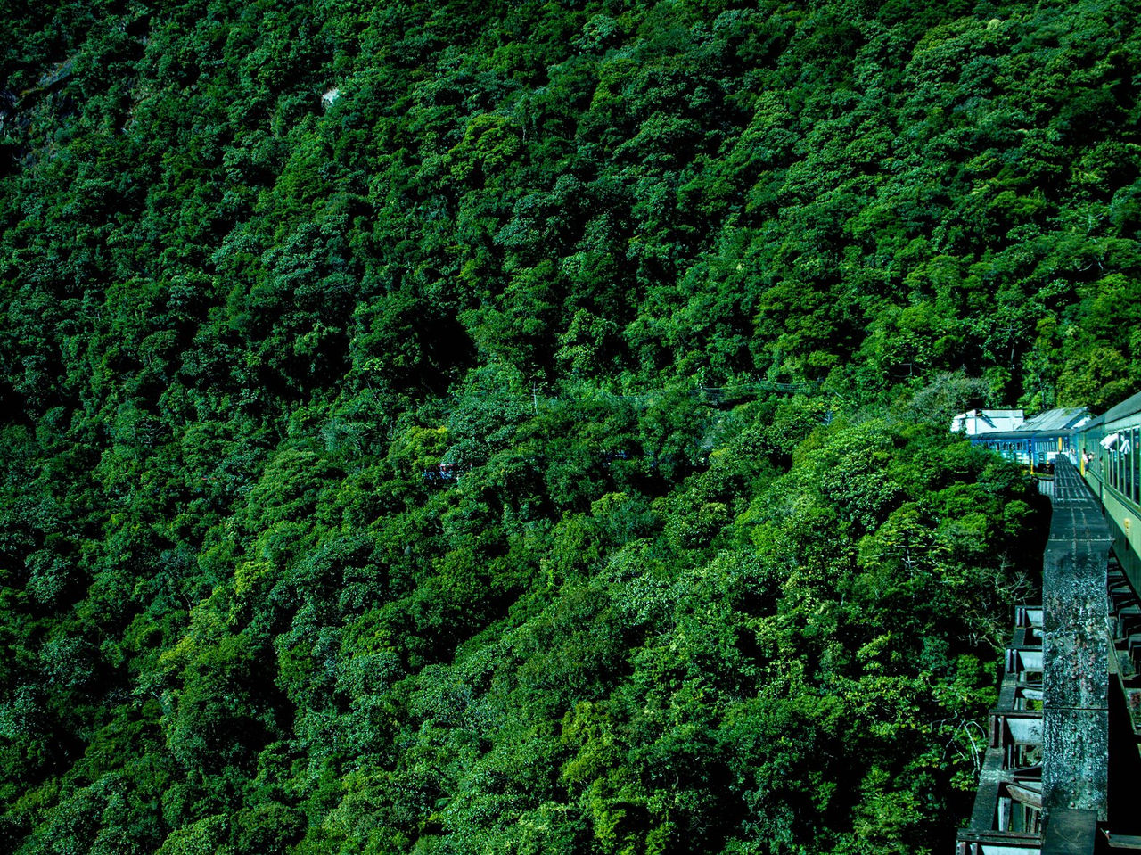 Tren serpenteando por entre montañas verdes y valles exuberantes a lo largo del camino, descubriendo la belleza de la región