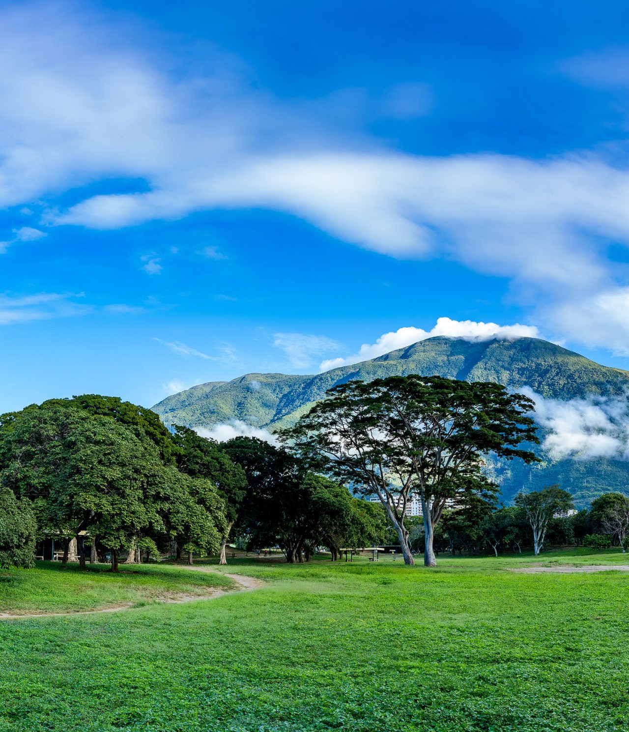 Paisaje natural amplio con una imponente montaña al fondo, cubierta de nubes y un cielo azul en Caracas