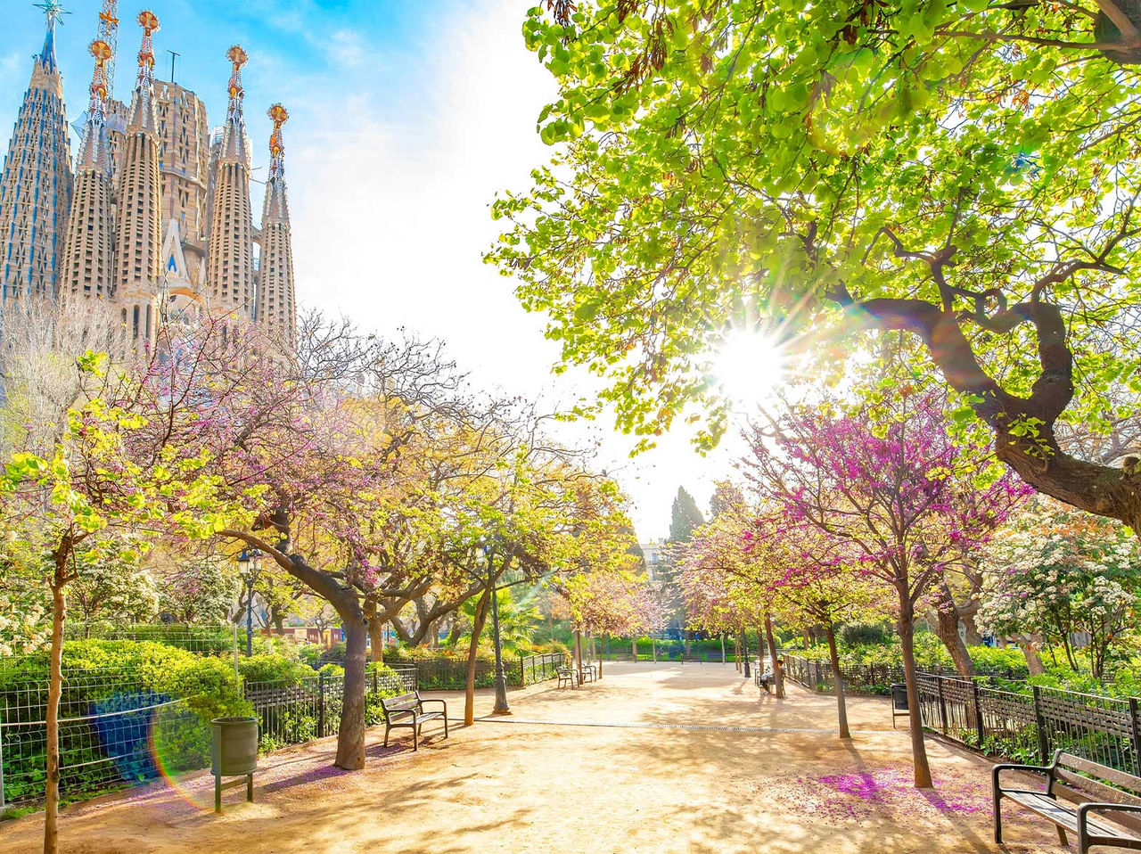 Jardín con árboles coloridos y un camino, con la Sagrada Familia al fondo, en un día soleado