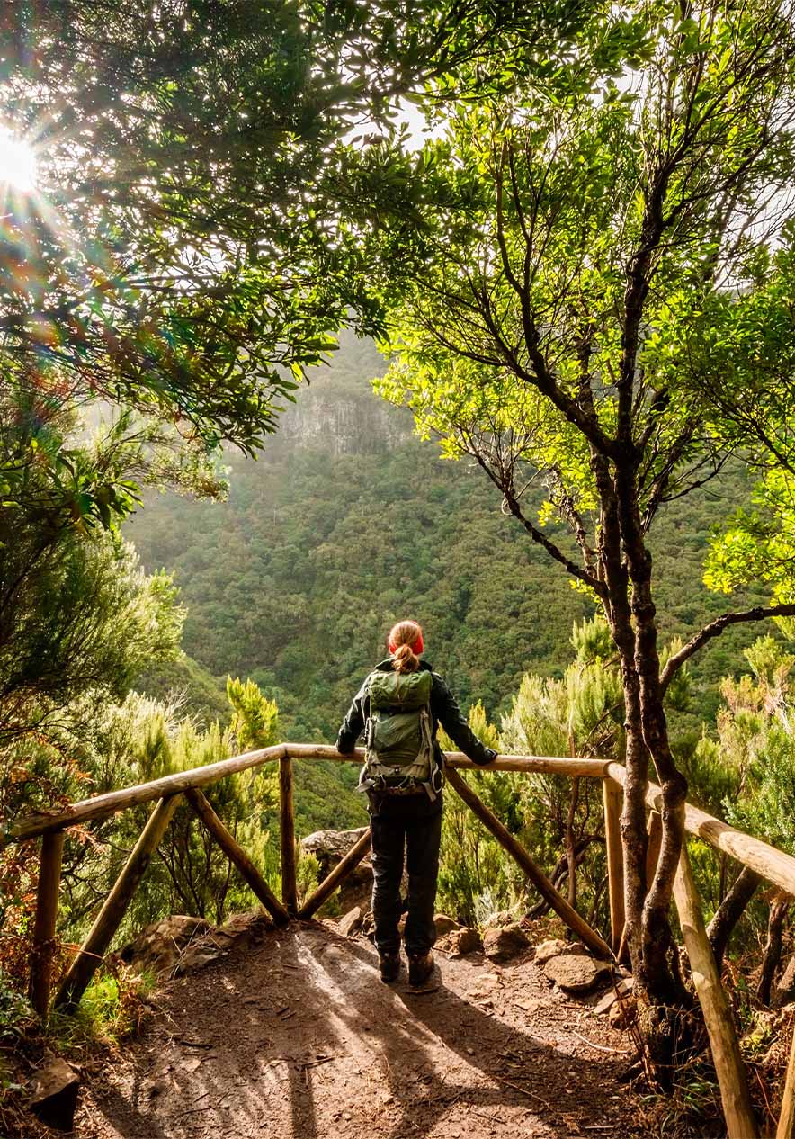 Mujer asomándose por una clara en la naturaleza, junto a una cerca de madera, con mochila a cuestas