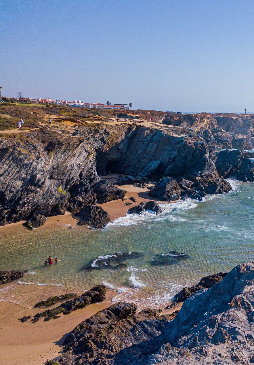 colocar alt text aqui