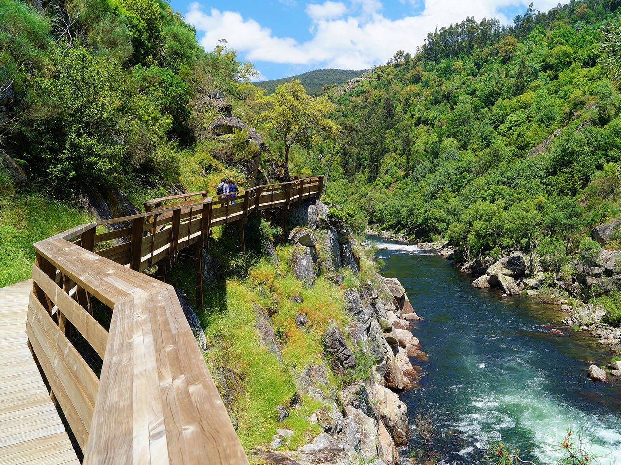 Uma bela paisagem de um rio cercado por natureza, com um passadiço de madeira para caminhar