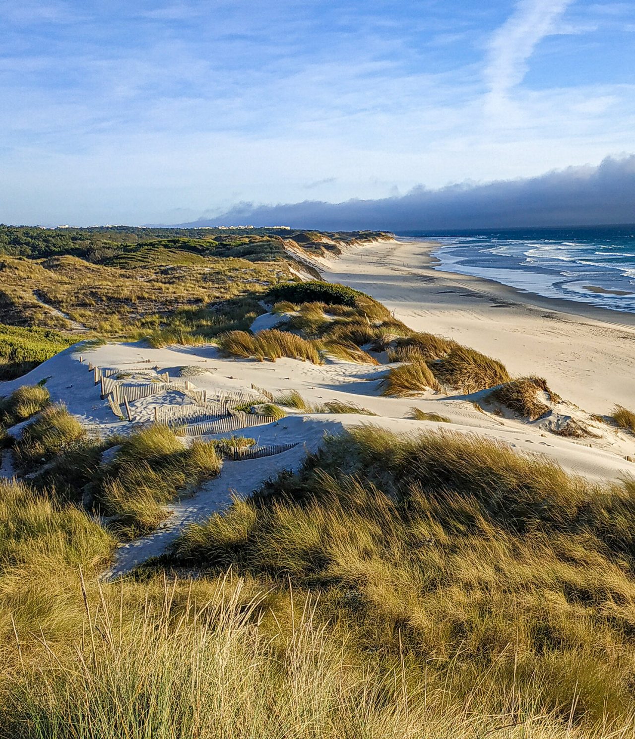 Extensa praia de areia branca, com dunas cobertas por vegetação, e um horizonte marítimo infinito