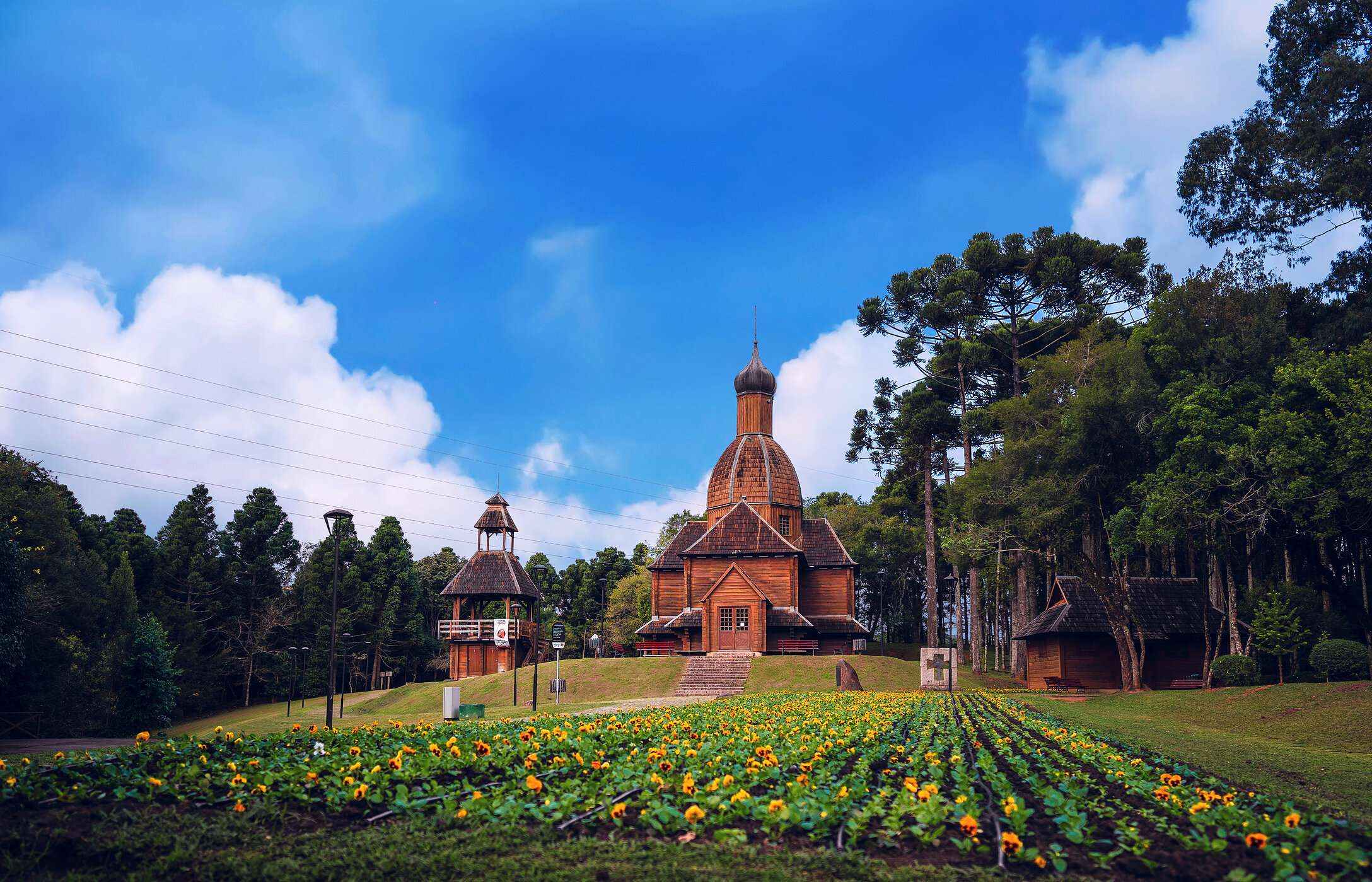 Tingui Park in Curitiba is a serene space, ideal for walks, with beautiful lakes and green areas to relax