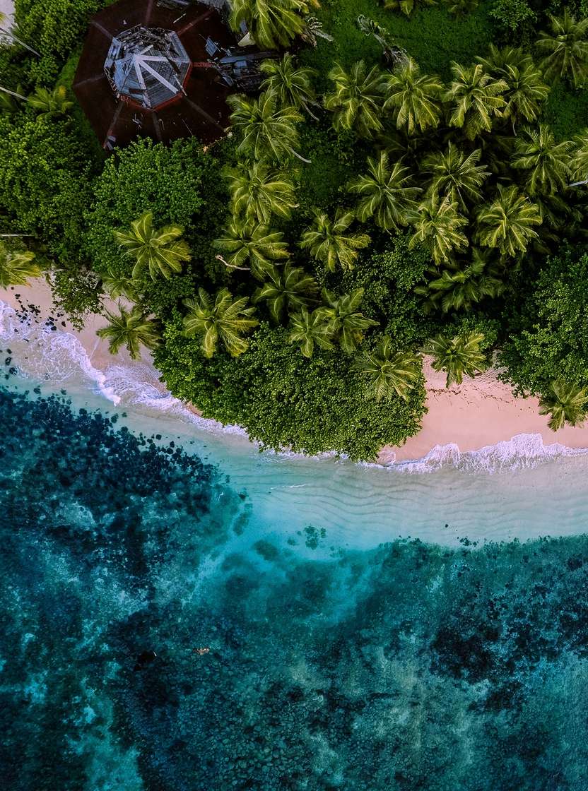 Tropical island of São Tomé with light sandy beach, crystal-clear waters, and lush palm vegetation