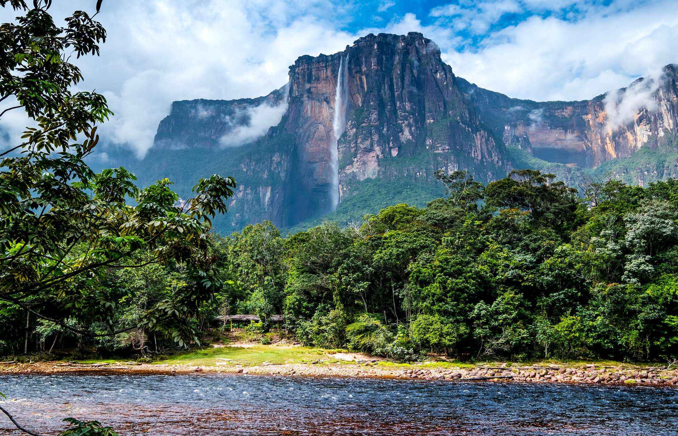 Panoramic view of Angel Falls in Venezuela, with cascading water surrounded by tropical vegetation.