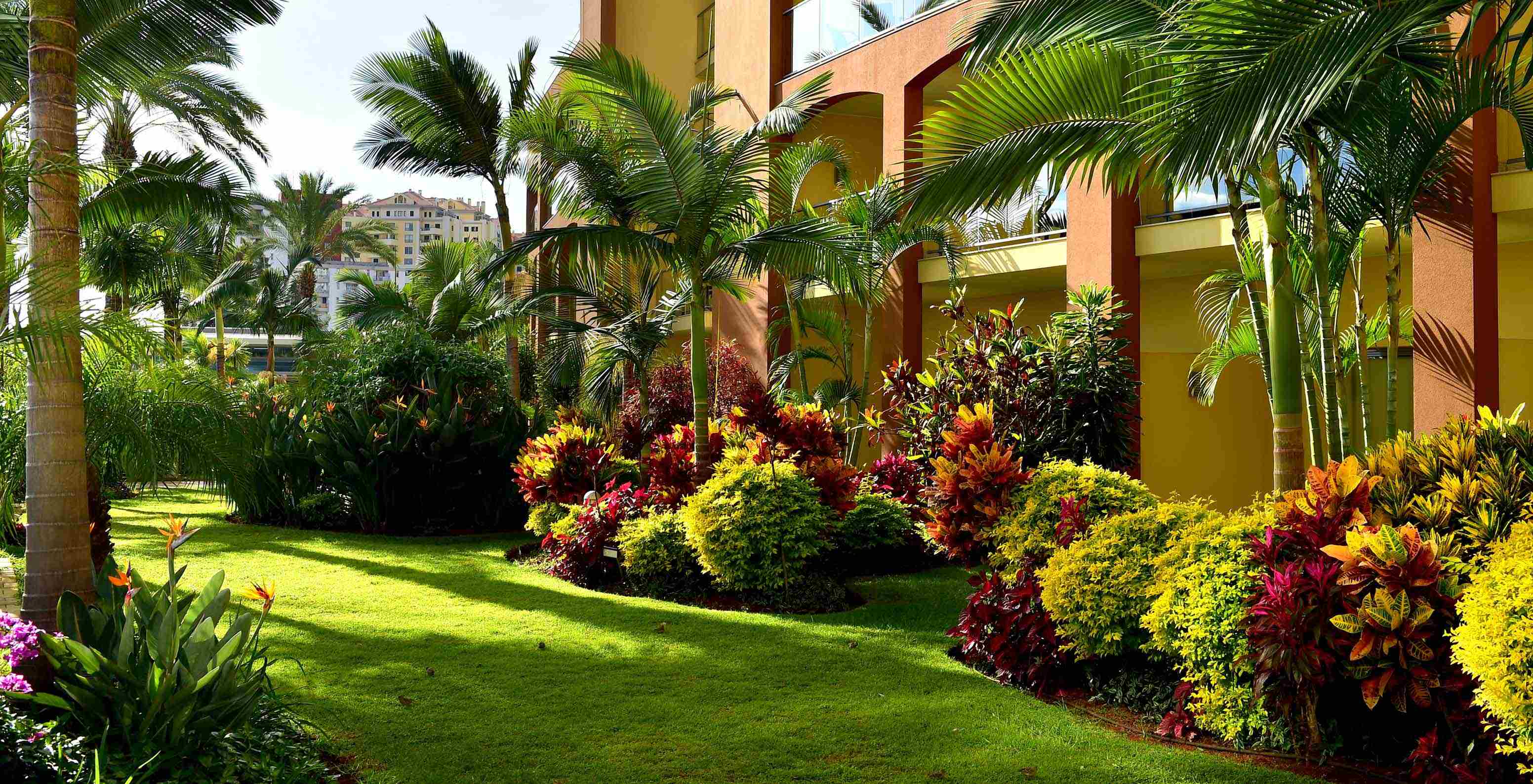 Jardines del Pestana Promenade, hotel en Madeira, cerca de la playa y Lido, con palmeras y plantas coloridas