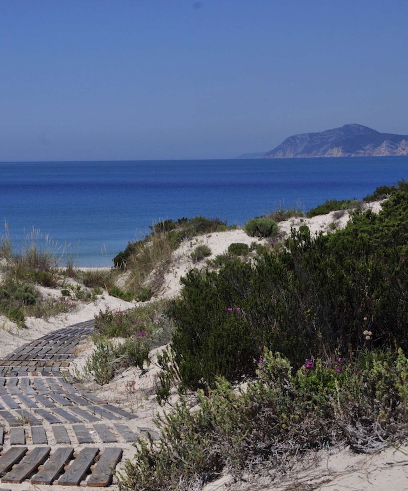 Houten loopbrug geeft directe toegang tot Praia de Soltroia vanaf Pestana Tróia Eco Resort