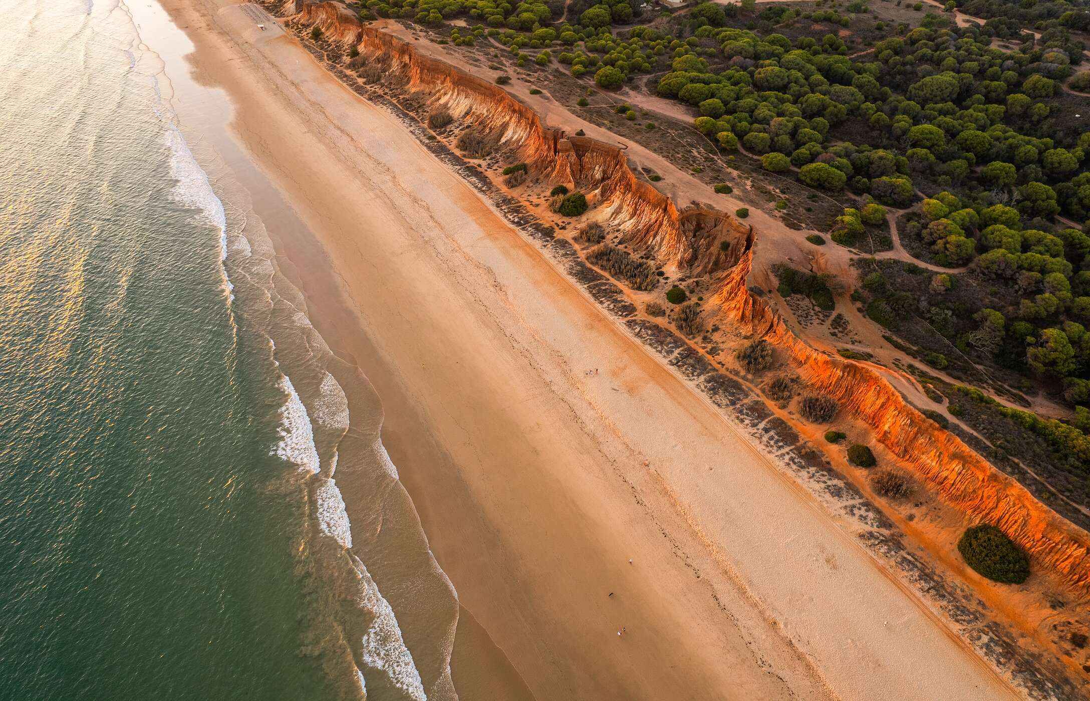 Luchtfoto van Praia da Falésia, in de Algarve, met een uitgestrekt gouden zandstrand langs de kust en kristalhelder water