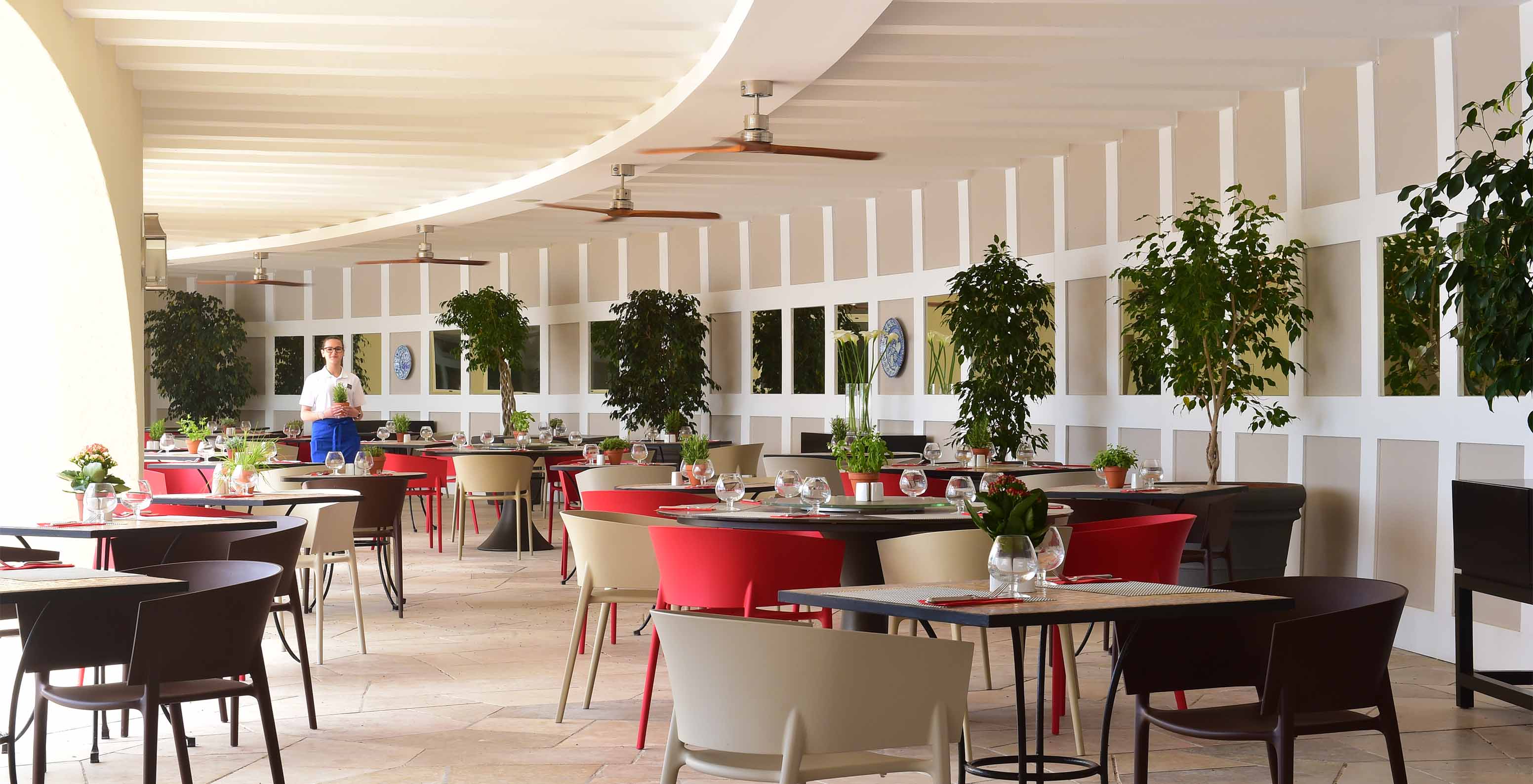 De bar Oceano, van het 5-sterrenhotel in de Algarve, heeft een terras met bomen en gekleurde stoelen