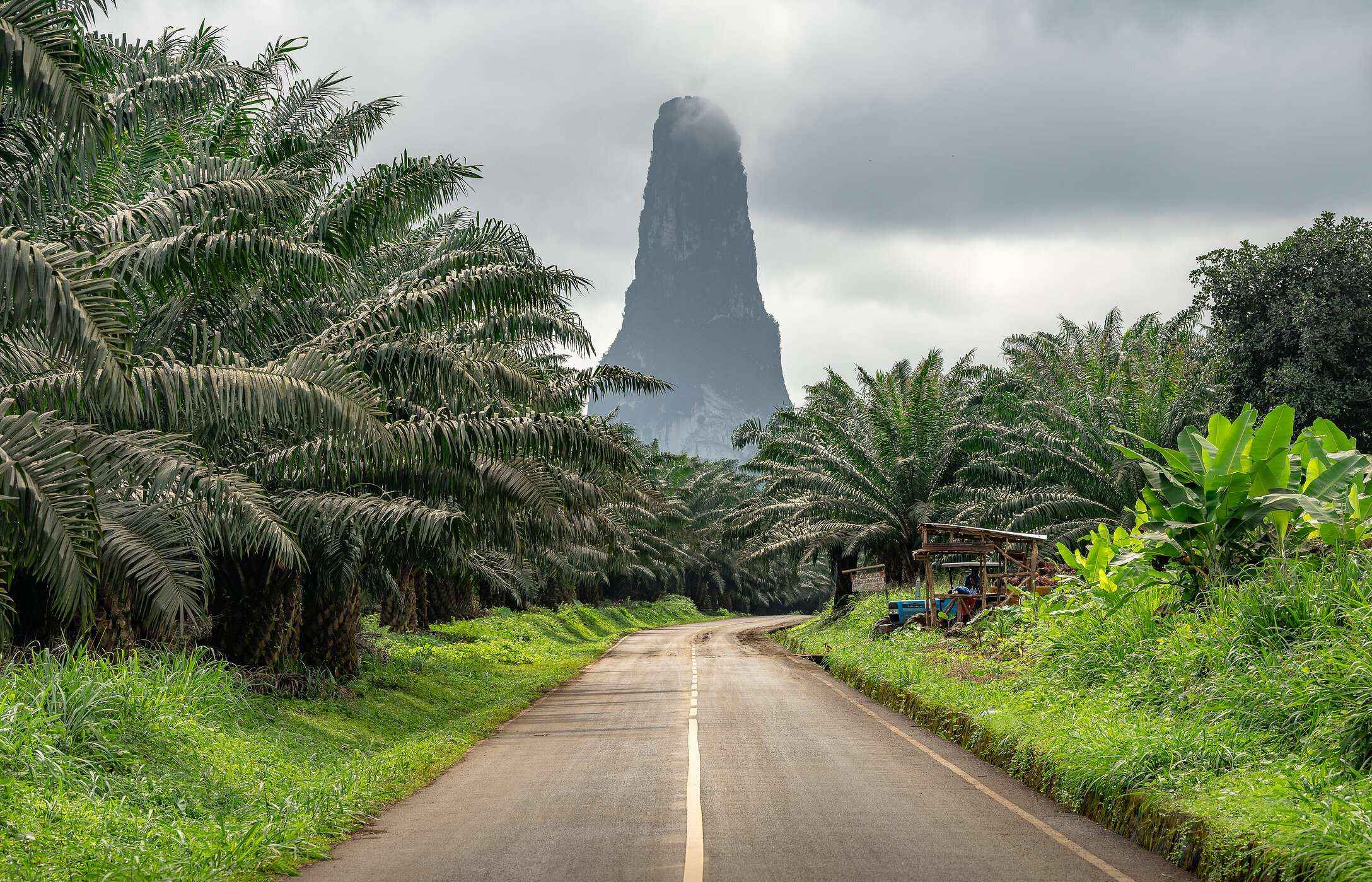 Pico Cão Grande, zichtbaar vanaf vrijwel het hele eiland en vanaf de weg met palmbomen eromheen