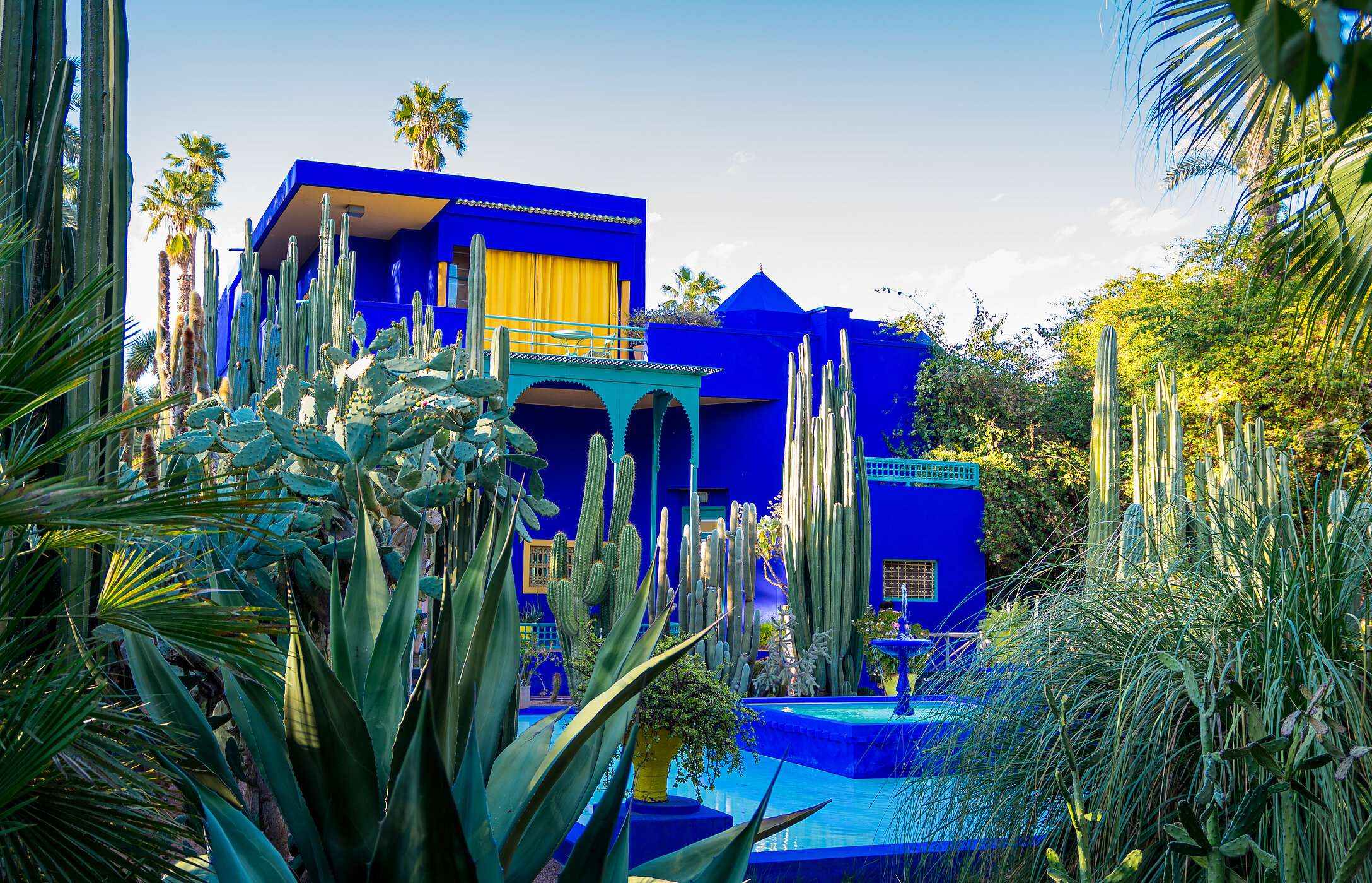 O Jardim Majorelle com grande diversidade de espécies botânicas e uma casa azul vivo com cortinas amarelas e uma fonte 