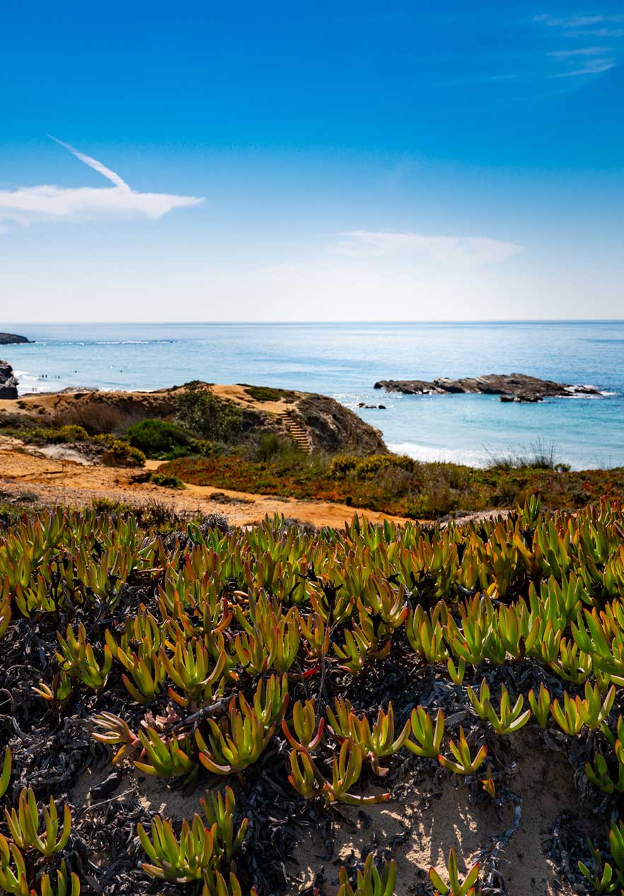 colocar alt text aqui