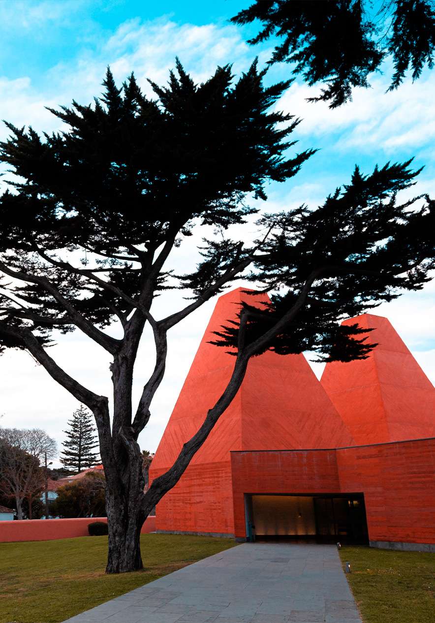 Casa das Histórias, gewijd aan het werk van Paula Rego, waar moderne architectuur en kunst samenkomen