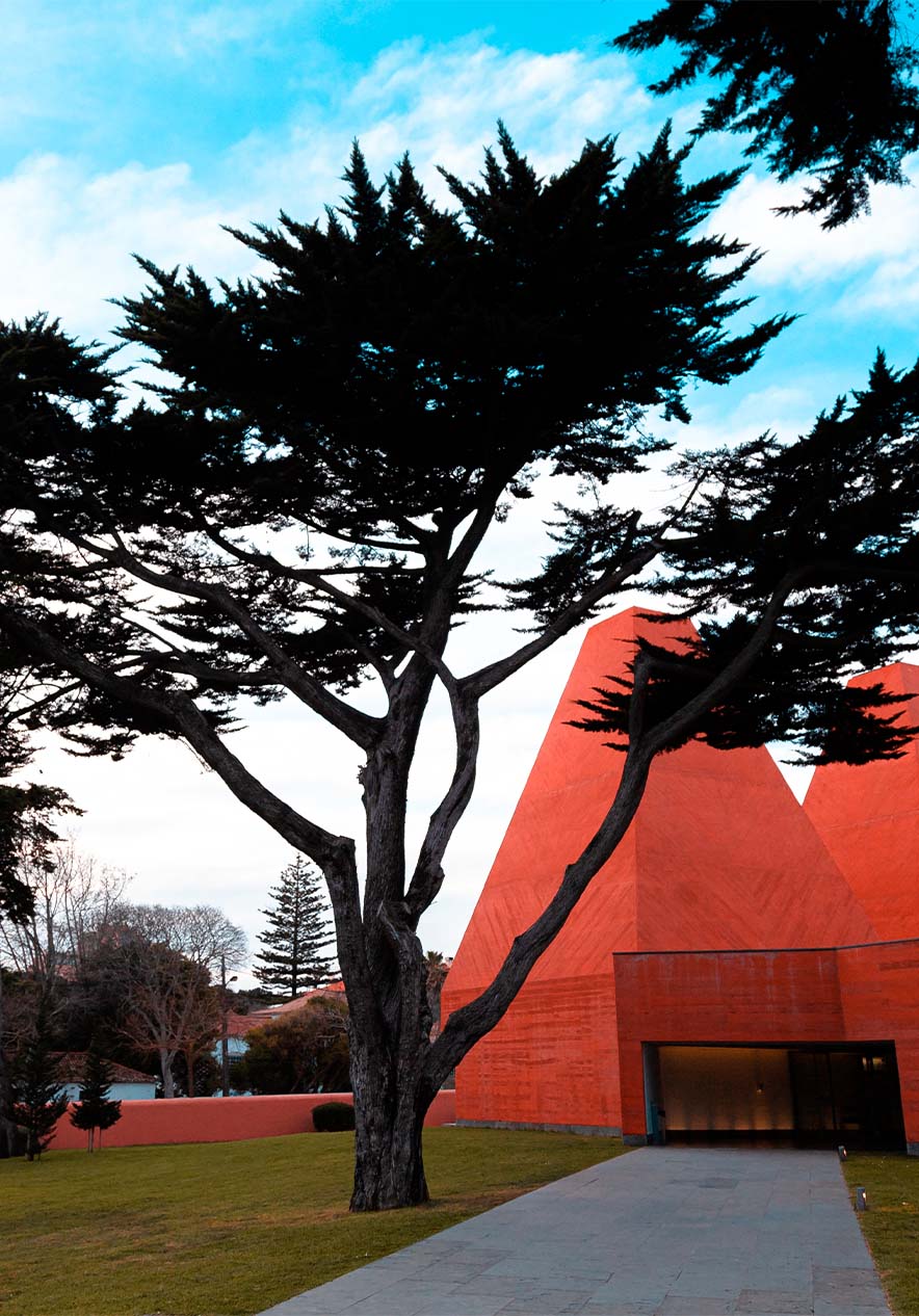 Casa das Histórias, gewijd aan het werk van Paula Rego, waar moderne architectuur en kunst samenkomen
