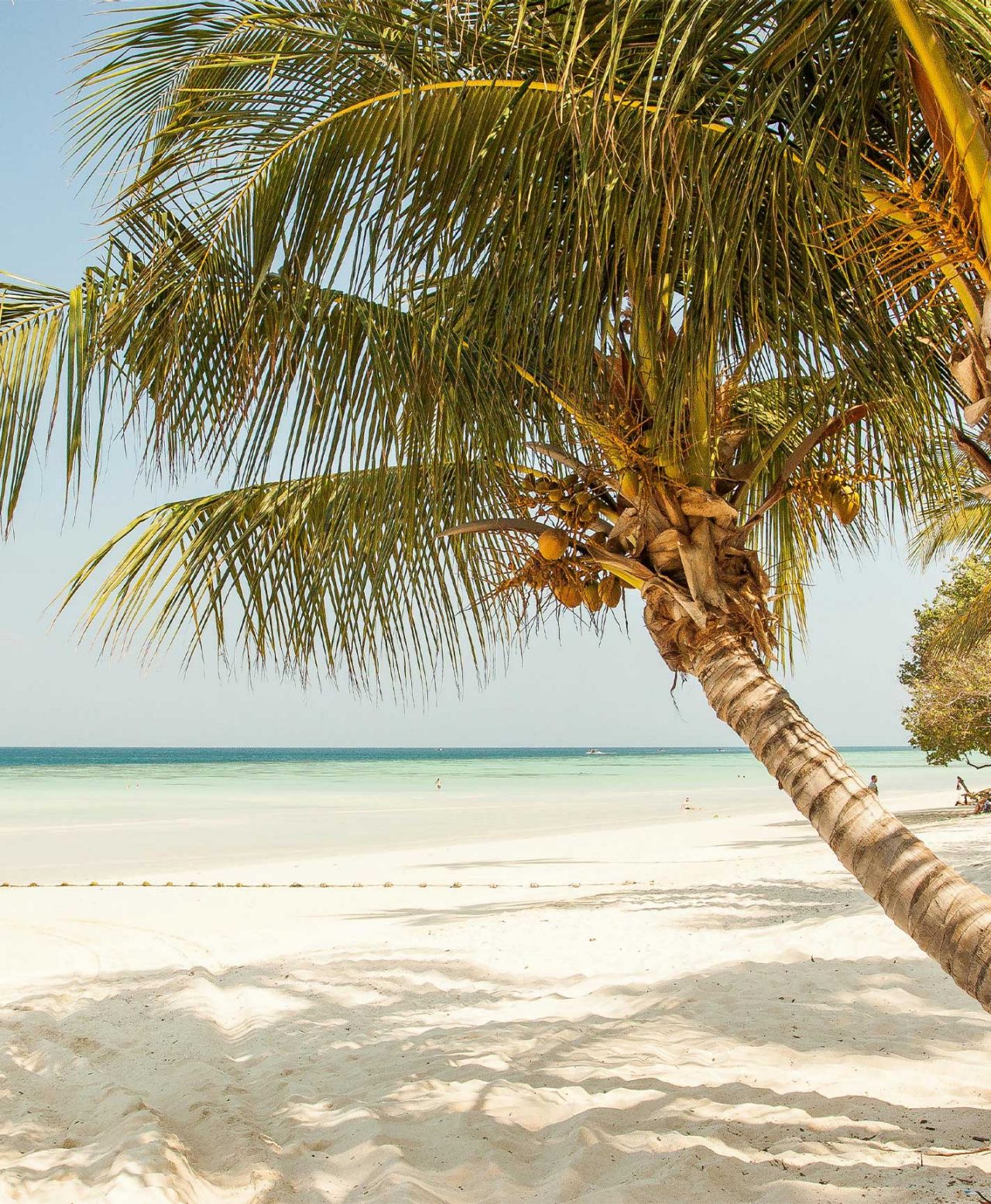 Paradijselijk strand, met wit zand, blauw water en palmbomen, van een hotel van het merk Pestana Hotels & Resorts