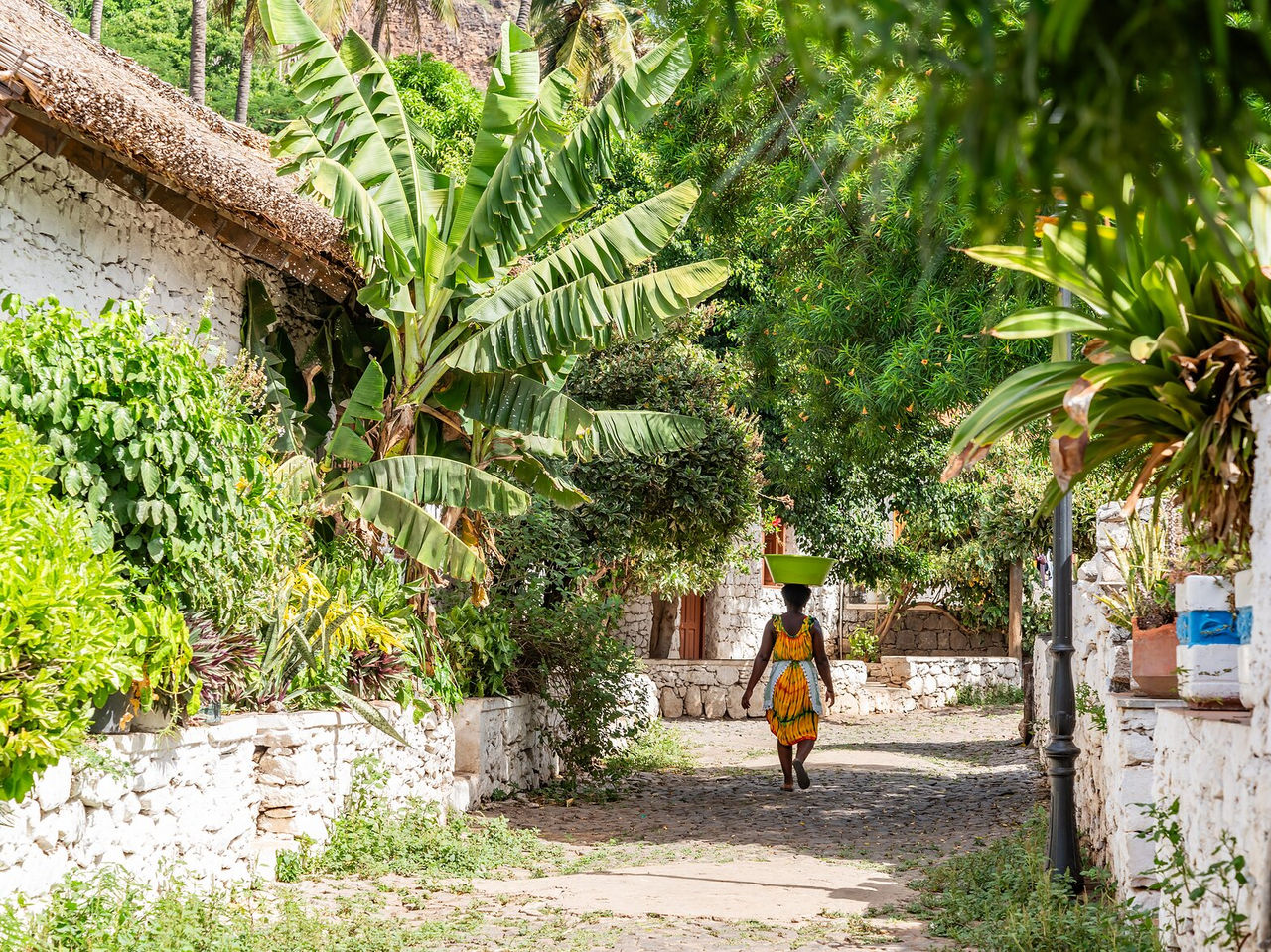 Cape Verdean woman walking along a narrow street carrying a basin on her head, surrounded by tropical vegetation