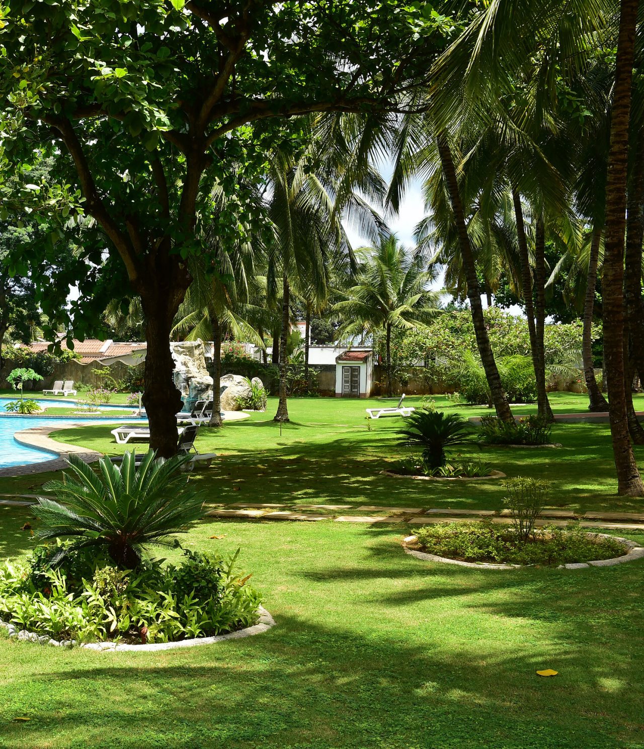 The Safu Bar at 4-Star Hotel in São Tomé is in the garden with trees and outdoor pool