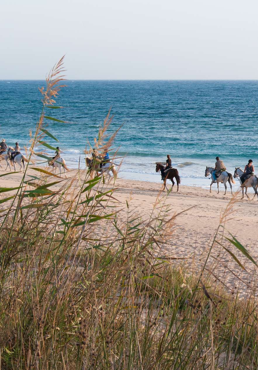 Group of people horseback riding along the beach in Comporta