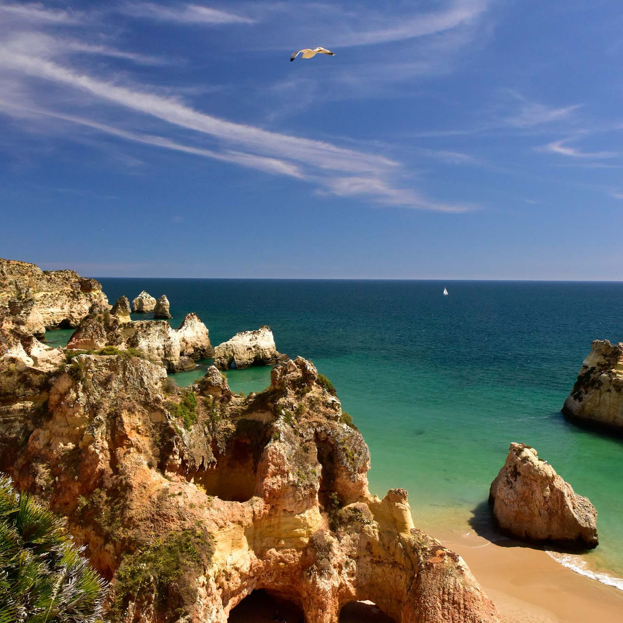 View of Praia dos 3 Irmãos, with rocks, vegetation, sand, the sea to the side, and a few clouds with a seagull
