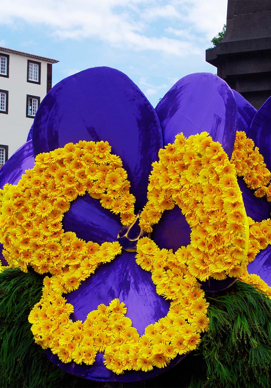 Stay at Pestana Casino Park and discover the beauty of the Flower Festival with all kinds of colorful flowers