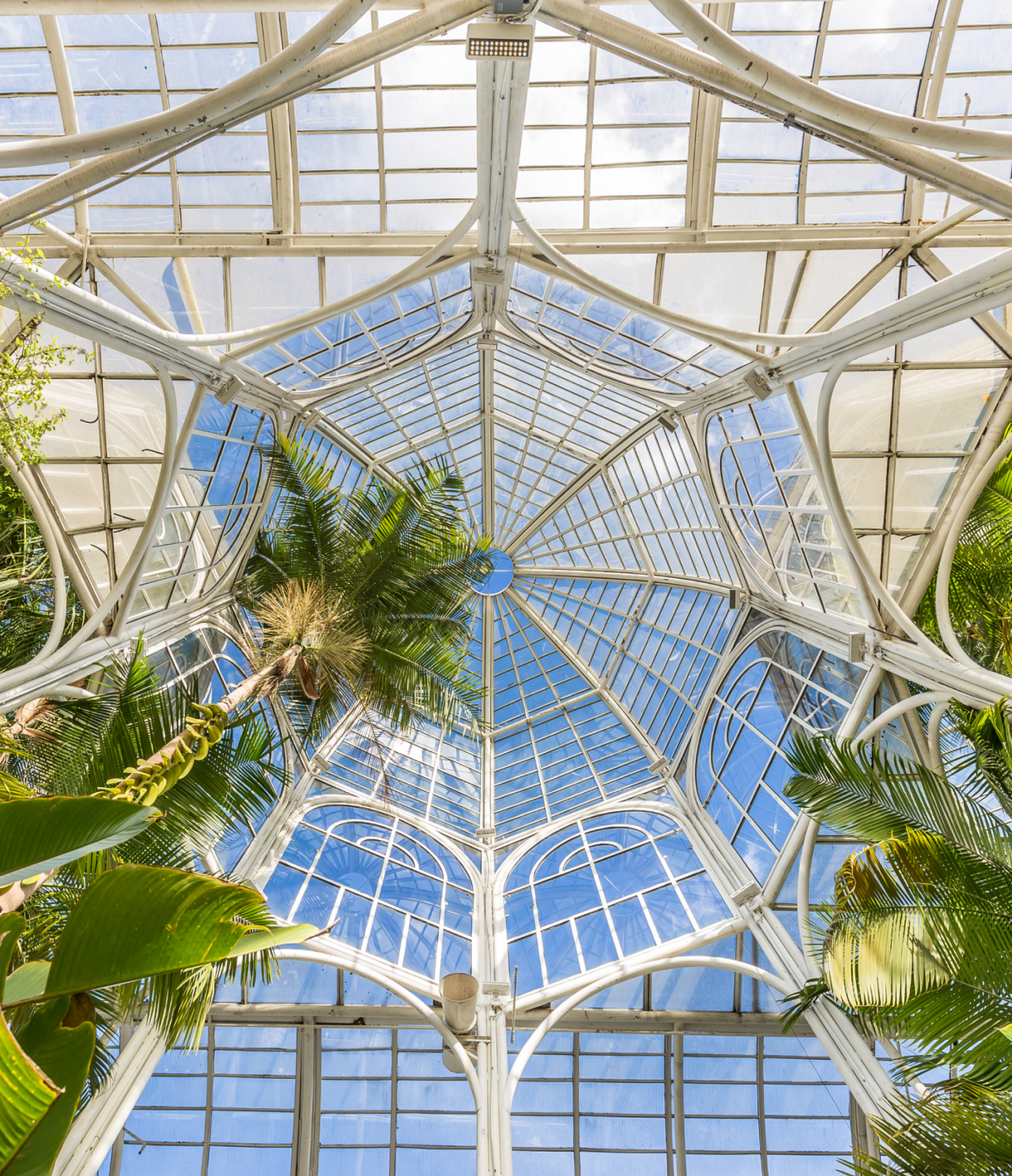 Majestic glass structure of the greenhouse at the Curitiba Botanical Garden with palm trees and lush foliage