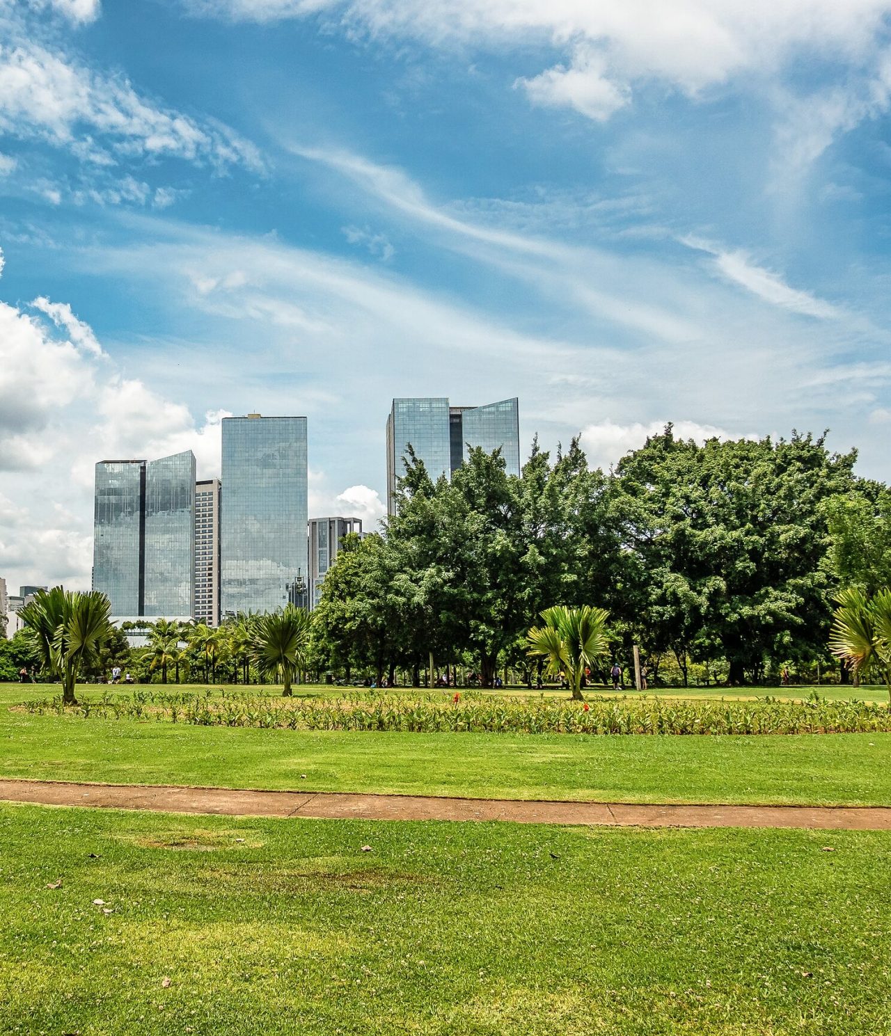View of a garden in São Paulo, with grass and various types of trees, with mirrored tall buildings in the background
